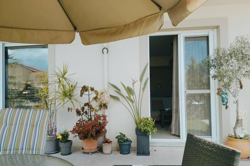Xrysa's Garden Lägenhet Mesolóngion Exteriör bild