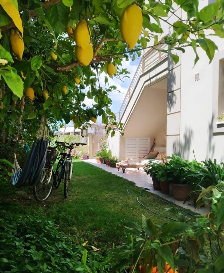 Xrysa's Garden Lägenhet Mesolóngion Exteriör bild